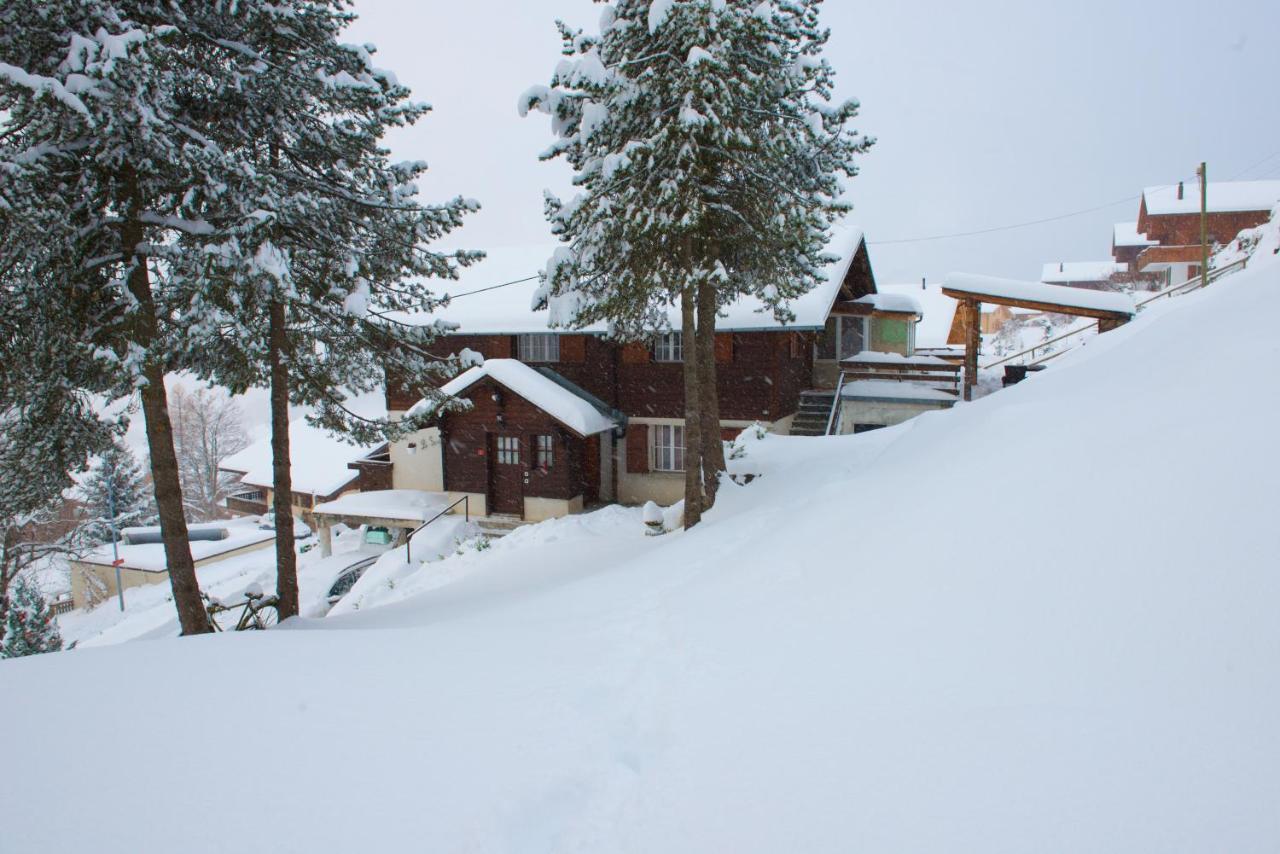 Avec Sauna - 300m Des Pistes *
